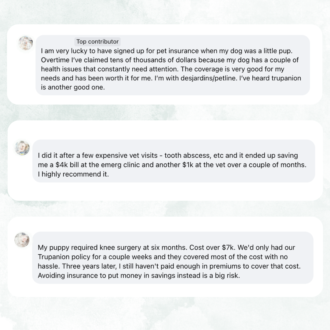 Testimonials from pet owners who swear by getting pet insurance for their pets.